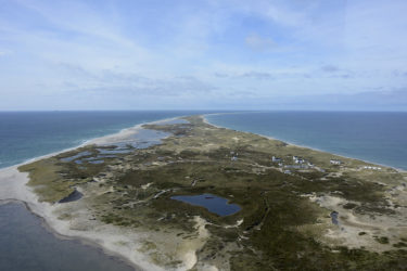 カナダの無人島「セーブル島」の行き方は？料金や場所がどこか気になる！